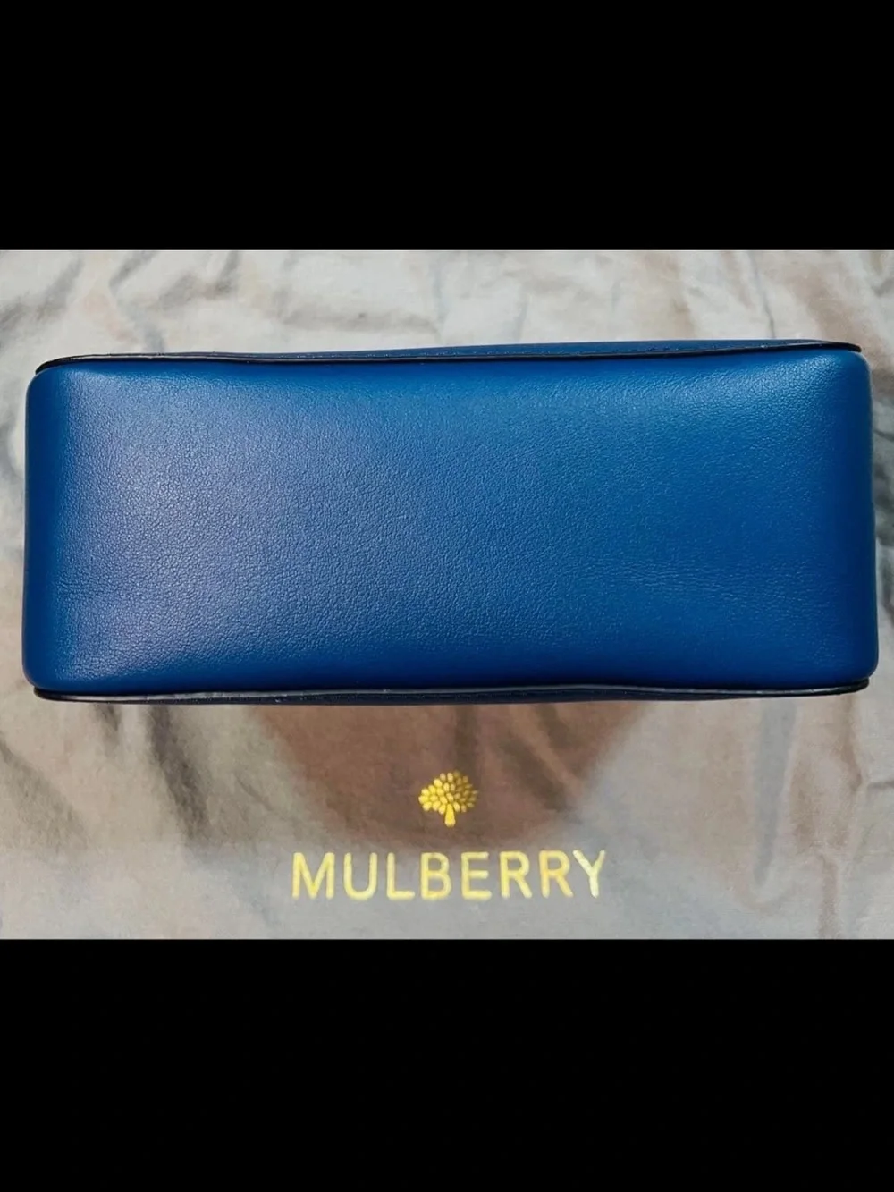 Mulberry Leather Camera Bag in Cobalt Blue